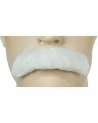 Lacey Costume Einstein Mustache Value Albert AB956