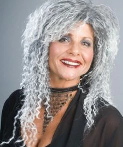 Enigma Grandma Wig Addams Family Women's Costume Wigs