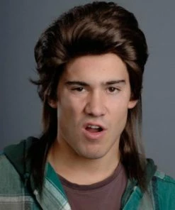 Joe's Dirt Mullet Wig By Enigma