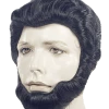 Lacey Costume Bargain President Abraham Abe Lincoln Wig & Beard Set Women's Costume Wigs