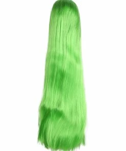 Lacey Costume 1448 Cher No Bangs