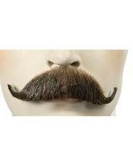 Lacey Costume Edwardian M34 Synthetic Mustache