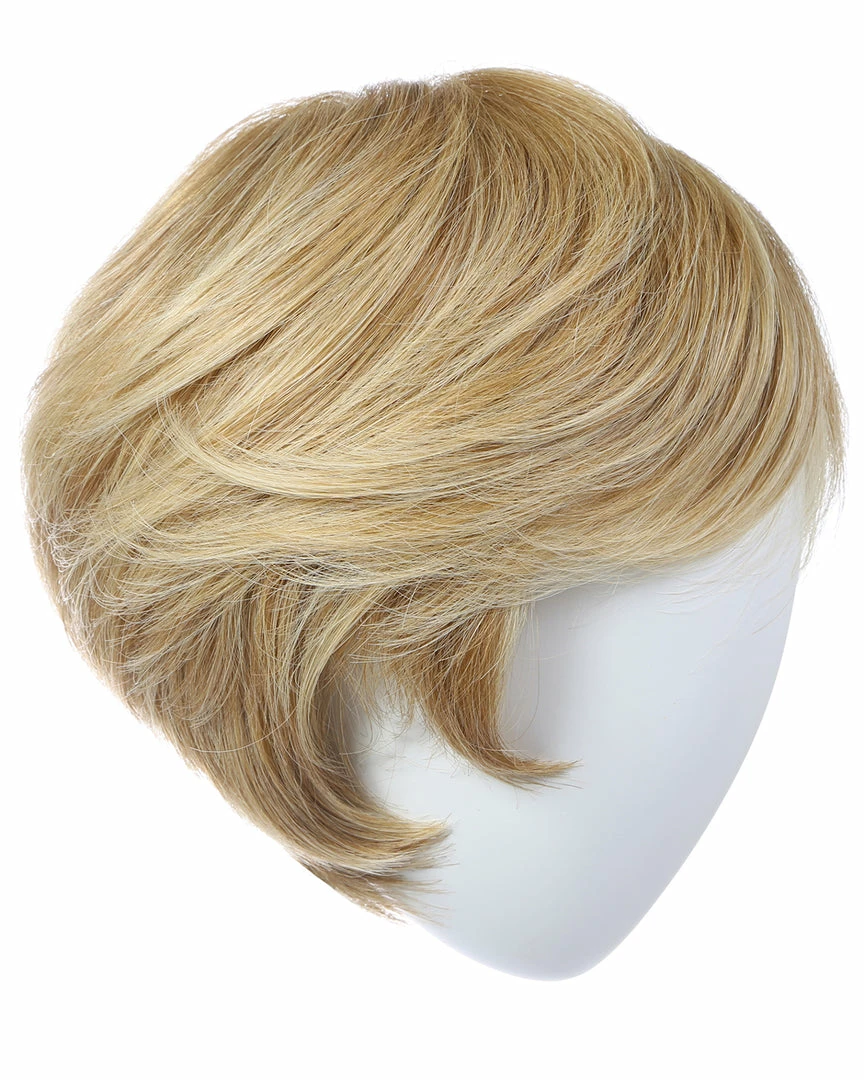 Raquel Welch Without Consequence HUMAN HAIR WIGS 9 Raquel Welch Without Consequence HUMAN HAIR WIGS