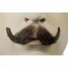 Lacey Costume Small English M10 Human Hair Handmade Mustache