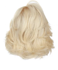 Raquel Welch The Art Of Chic- Remy Human Hair HUMAN HAIR WIGS