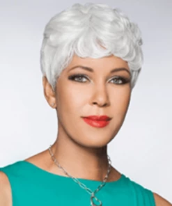 Foxy Silver Reid SYNTHETIC WIGS