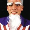 Lacey Costume Uncle Sam Goatee Eyebrows