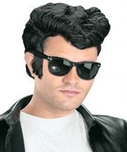 Morris Women's Costume Wigs Greaser Wig Black