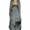 Lacey Costume Women's Costume Wigs Wizard Set Special Bargain Version