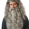 Morris Women's Costume Wigs Gandalf Wig & Beard Set